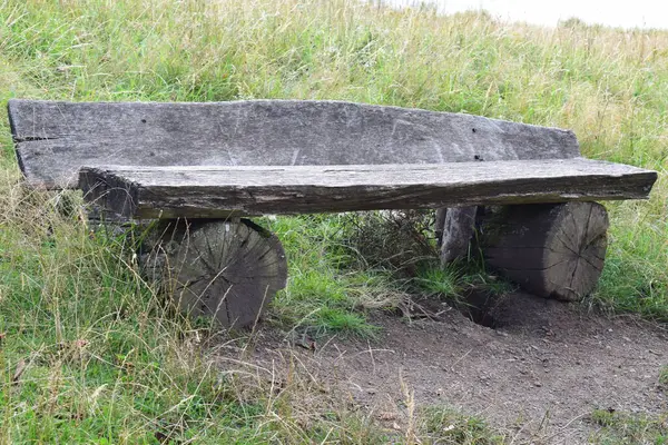 Ormandaki eski ahşap bank