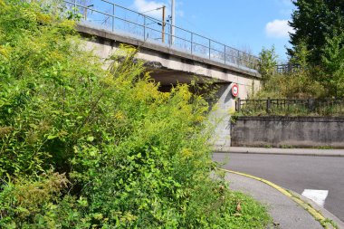 Büyük yeşil bitkisi olan bir köprü manzarası