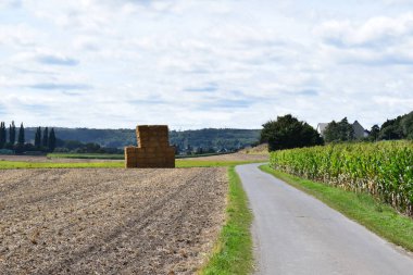 Bir tarlanın ortasında saman balyalarıyla köy yolu.