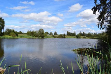 Kırsalda bir bataklık gölü