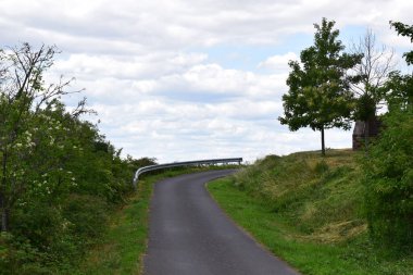 Mavi gökyüzünün ve beyaz bulutların arkasındaki ormanda bir yol