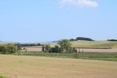 Kırsal kesimde tarım arazisi