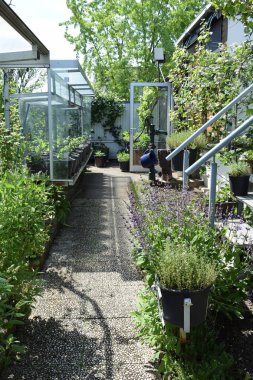 Küçük bir bahçe.