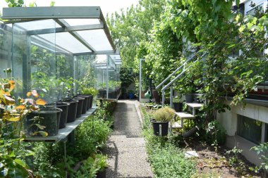 Yazın küçük şehir bahçesi