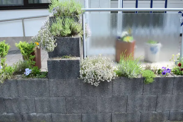 stock image planting wall with blooming herbs in a tower