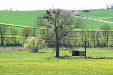 Eifel, Almanya 'da bahar manzarası