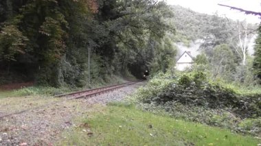 Ormandaki bir evin arkasından buhar treni yaklaşıyor.