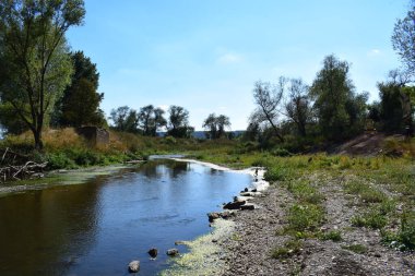 Yazın ormandaki nehir.