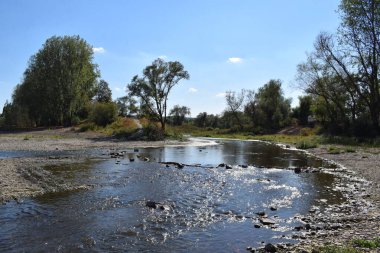 Bulutlu bir günde ormanı olan güzel bir nehir manzarası.