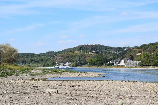 stock image Rhine river at the Ahr Estuary