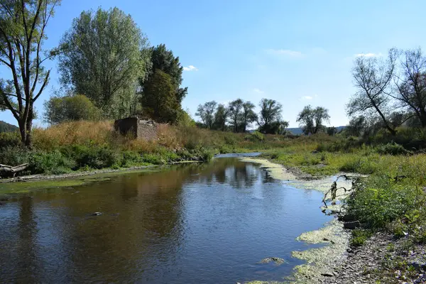 stock image river in the countryside in spring