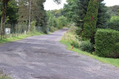 Ormandaki küçük yol