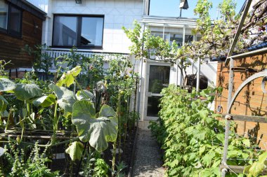 Ve çeşit çeşit bahçeler çıkaralım.