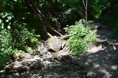 Doğanın güzel manzarası