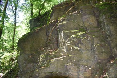 Ormandaki eski taş uçurum.