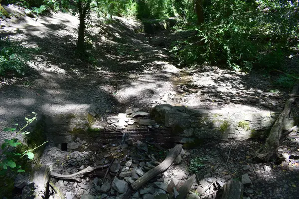 stock image the ancient stone staircase in the forest