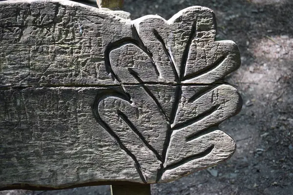 stock image carved leaf in a park bench