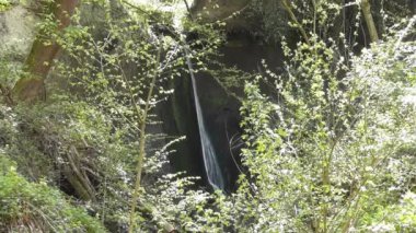 Wolfsschluchtwasfall, Laacher 'a yakın şelale Eifel' de bakın
