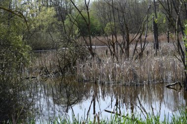 Yansımalı küçük göl