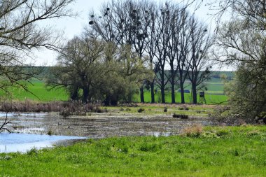 Ağaçlı ve nehirli manzara, bahar