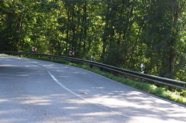 Orman boş ülkede yol