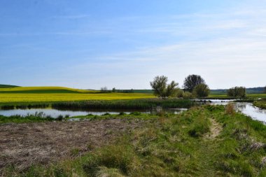 Tarlalar arasında küçük göl