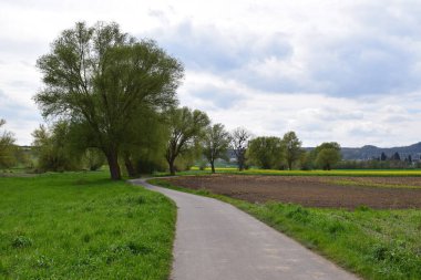 İlkbaharda güzel kırsal cadde
