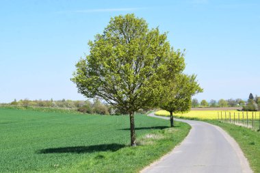İlkbaharda kırsal kesimde