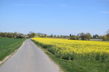 Arka planda sarı tecavüz tarlası olan güzel bir manzara.