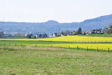 Bir köyle doğanın güzel manzarası