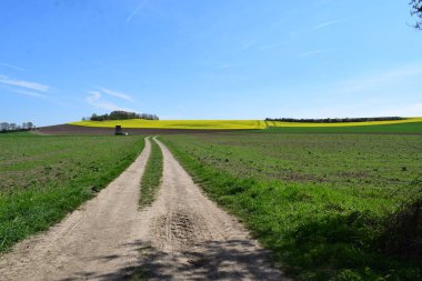 Bahar manzarasında toprak yol