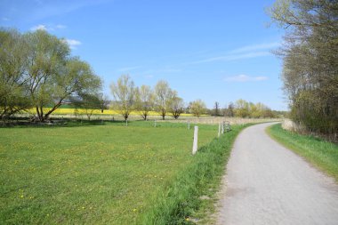 Doğa koruma alanında güzel bir yol