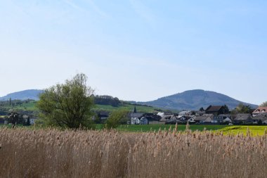 Arka planda bir köy ve sazlığın manzarası