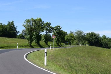 Ormanda ağaçlarla dolu bir yol