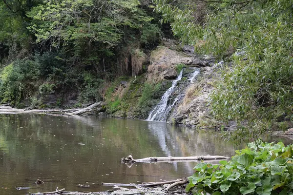 stock image the thin almost dry waterfall in the forest