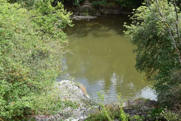 stock image almost dry lake of the Elz