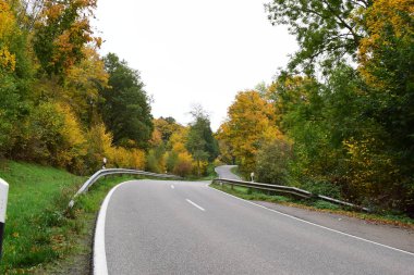 Ağaçlar ve yapraklarla dolu sonbahar yolu