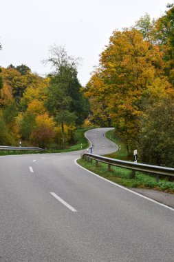 Ormanda sonbahar ağaçlarıyla yol