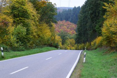 Sonbahar ormanında dik bir yol.