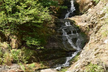 Dağlarda akan küçük alçak şelale