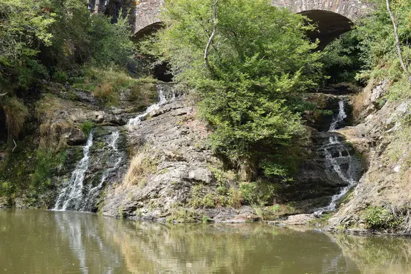 stock image the river flowing through the forest of the Eifel during the draught summer