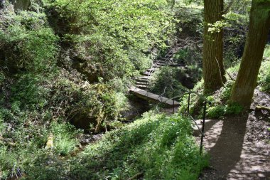 the bridge in the forest, the waterfall in Wolfsschlucht near Laacher See clipart