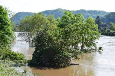 Suyun içinde ağaçlar var.