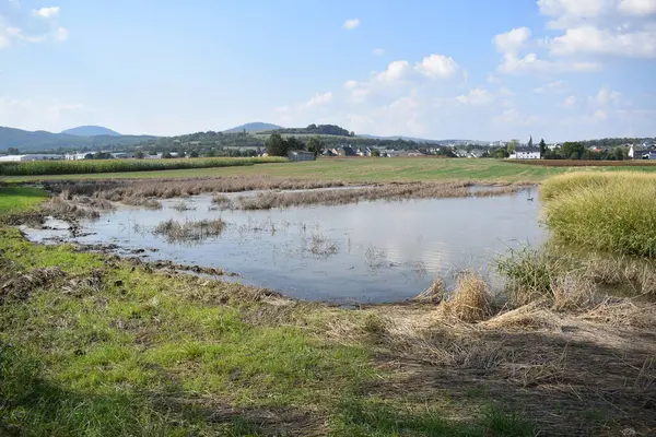 stock image a swamp lake in the Eifel