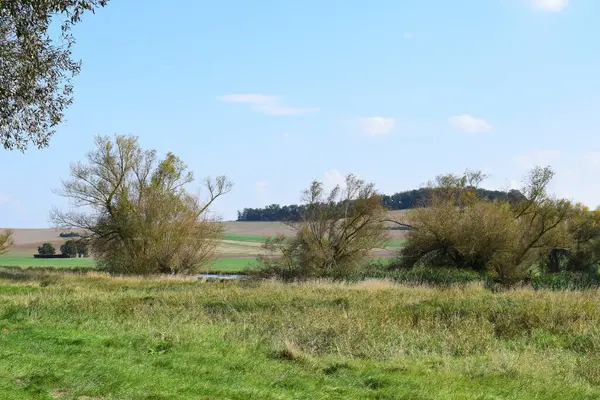 stock image beautiful landscape in the swampland