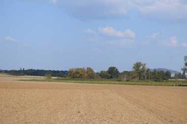 Kırsal alanda bir tarımsal alan manzarası