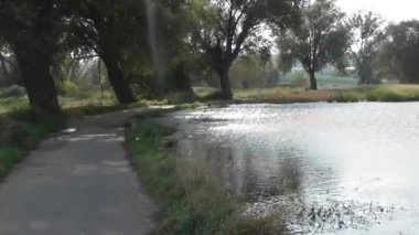 Nehrin arka planındaki parkta güzel bir nehir.