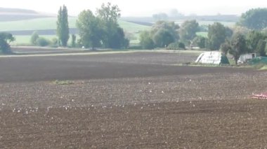 Bir tarlanın güzel bir görüntüsü.