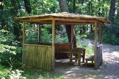 Orman içinde ahşap kulübe