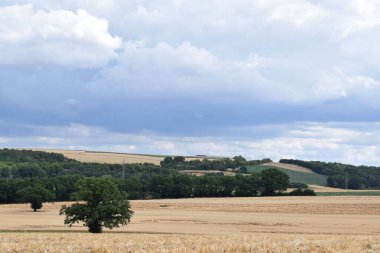 Eifel kırsalının manzarası, Almanya